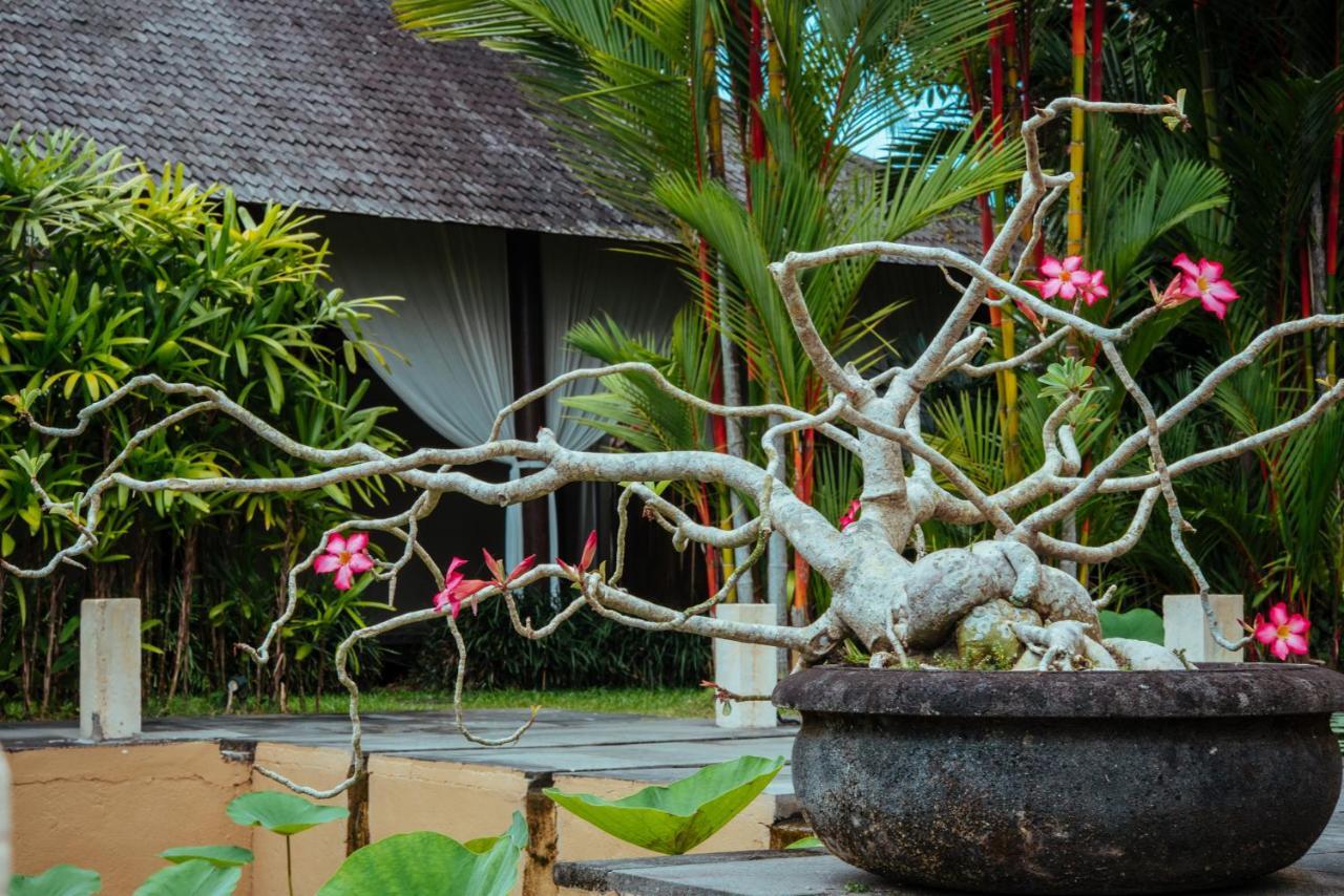 Sunset Hill Bed & Breakfast Ubud  Ngoại thất bức ảnh