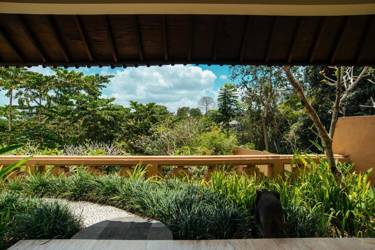 Sunset Hill Bed & Breakfast Ubud  Ngoại thất bức ảnh