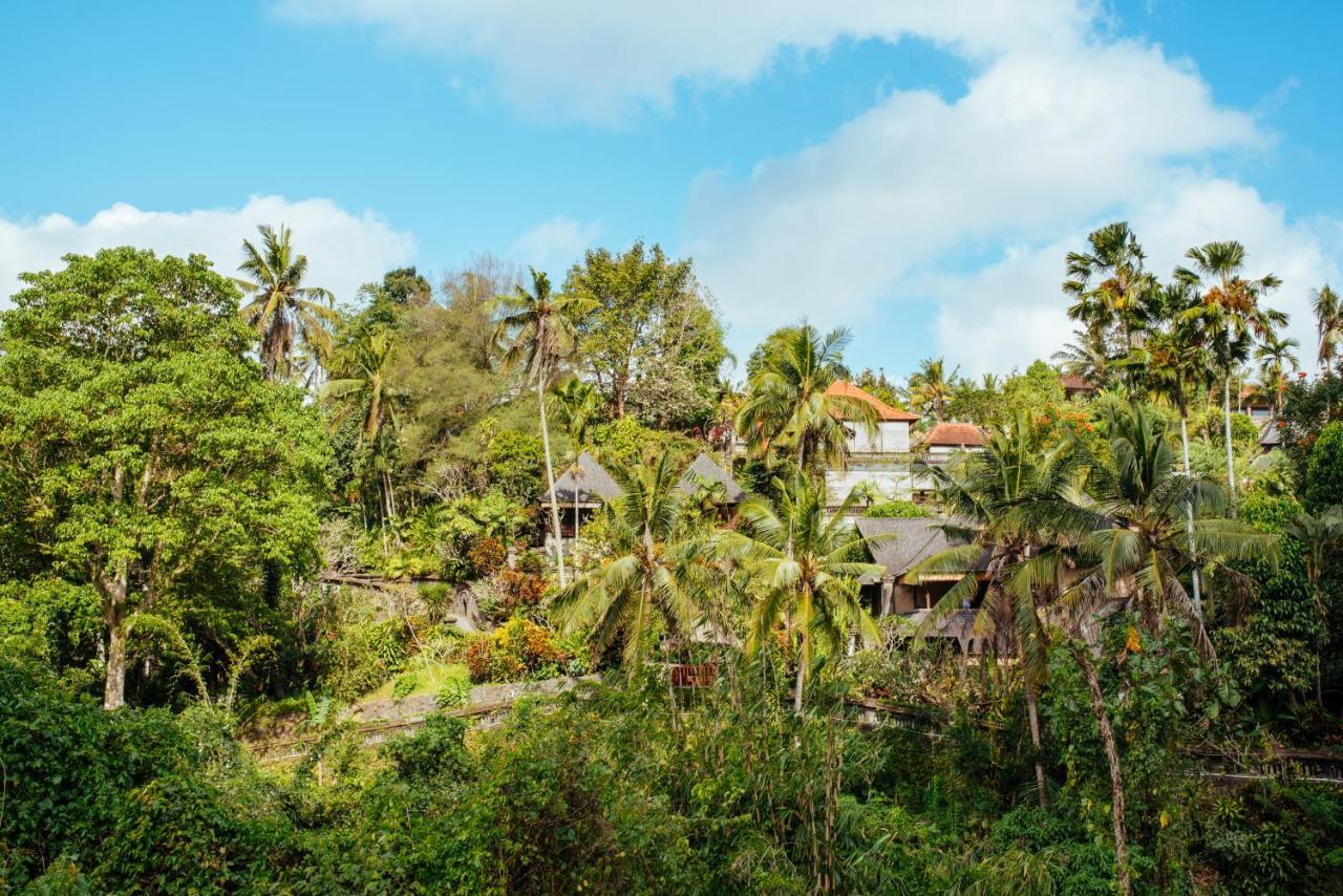 Sunset Hill Bed & Breakfast Ubud  Ngoại thất bức ảnh